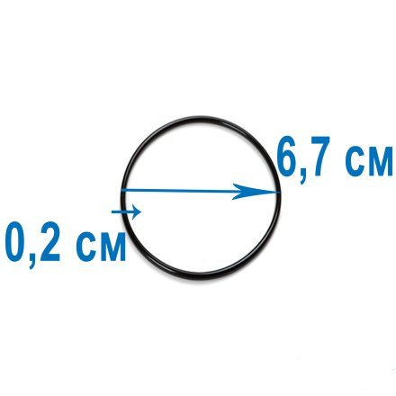 Ущільнювальне кільце для титанового електрода Intex 11515 - 1